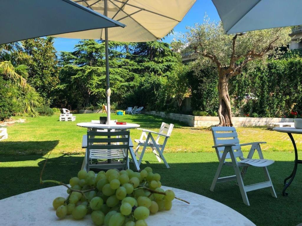 Ascoli Bonjour B&B & Apartments Parcheggio Privato & Giardino Ascoli Piceno Ngoại thất bức ảnh